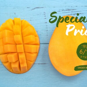 早割のおしらせ